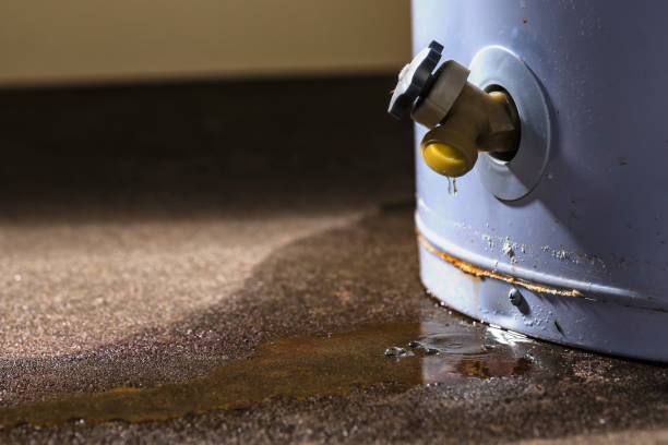 Best 24/7 water damage repair  in Meadowbrook, CA
