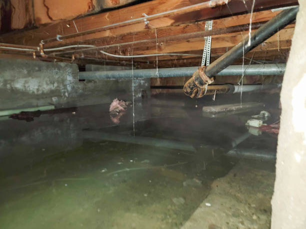 Best Emergency water damage restoration  in Meadowbrook, CA