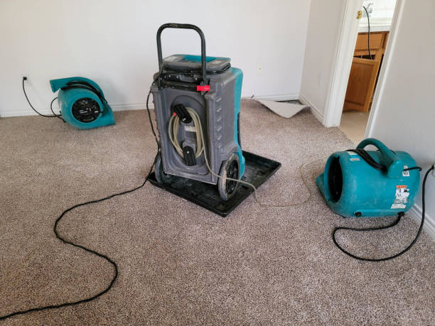 Best Flooded house restoration  in Meadowbrook, CA