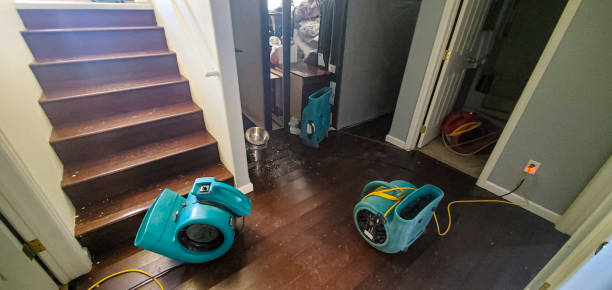 Best Water damage restoration services  in Meadowbrook, CA