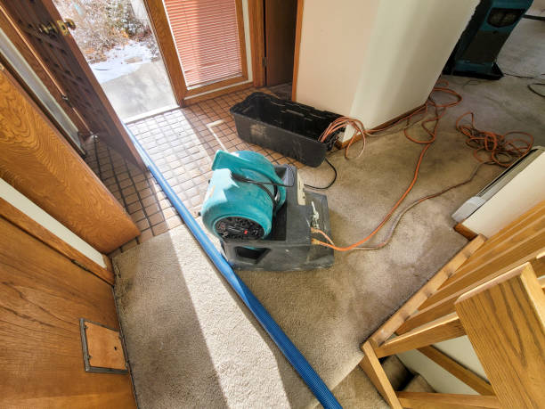 Best Flood damage cleanup  in Meadowbrook, CA