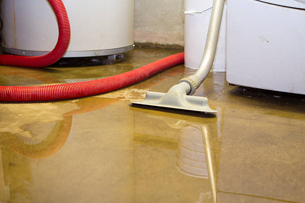 Water damage restoration process in Meadowbrook, CA