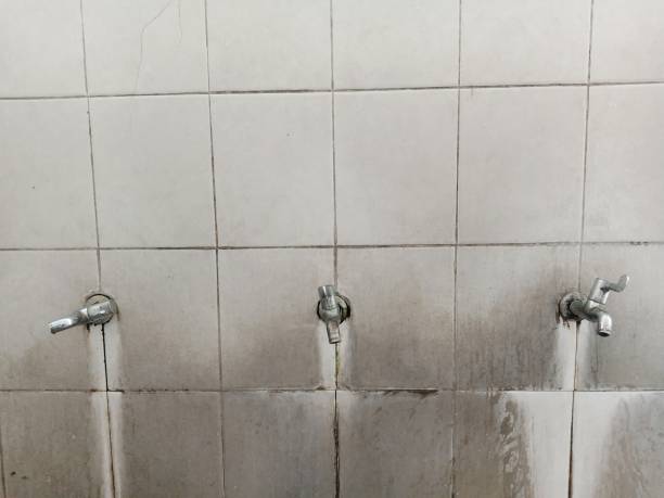 Best Ceiling water damage repair  in Meadowbrook, CA