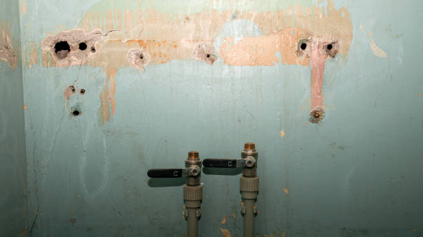 Best Water damage contractors near me  in Meadowbrook, CA