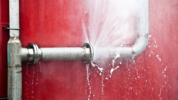 Best Carpet water damage restoration  in Meadowbrook, CA