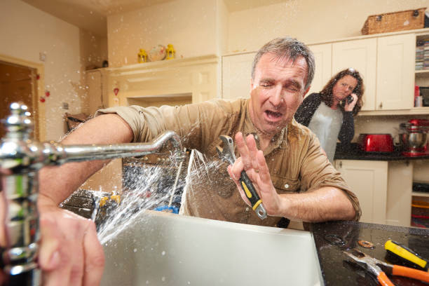 Best Flood restoration services  in Meadowbrook, CA